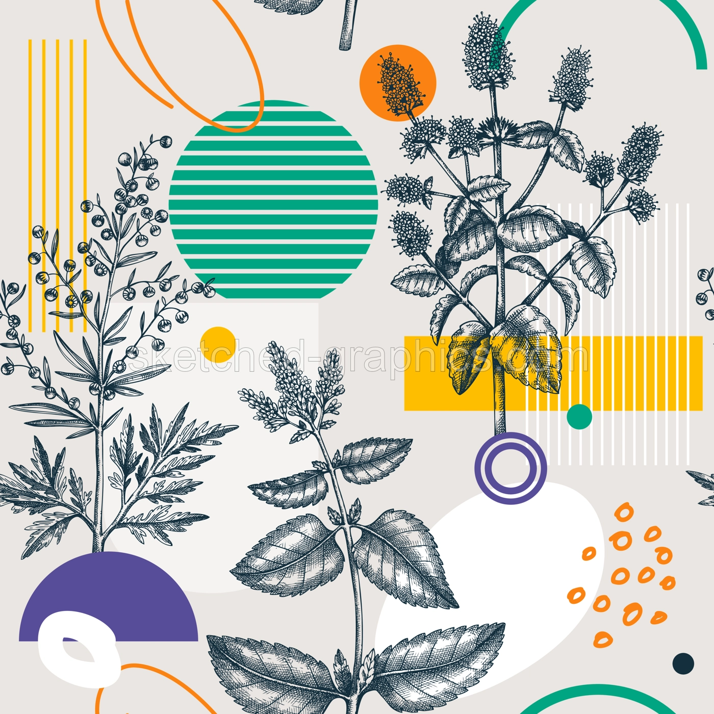 Collage-style summer background. Hand-sketched herbs seamless pattern. Trendy design with botanical sketches and geometric shapes. Elegant flowers for print, poster, fabric and wrapping paper Illustration